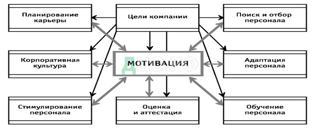 Реферат: Пути совершенствования мотивации и стимулирования в системе управления персоналом